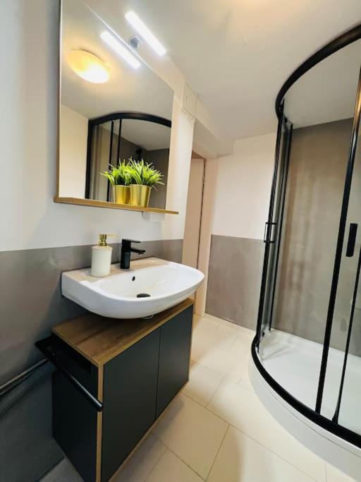 Apartment Rheingold Schwabach Bagian luar foto